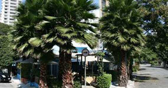 Mercearia São Roque - Amauri