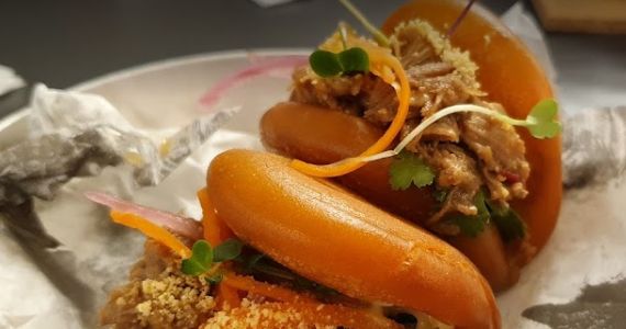 Pato Rei - Pinheiros