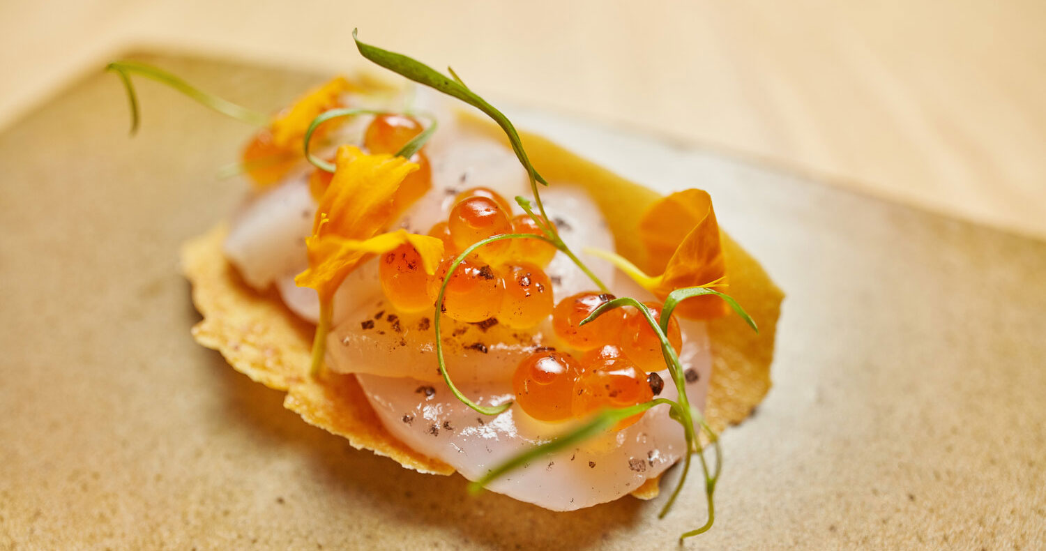 Ryo Gastronomia