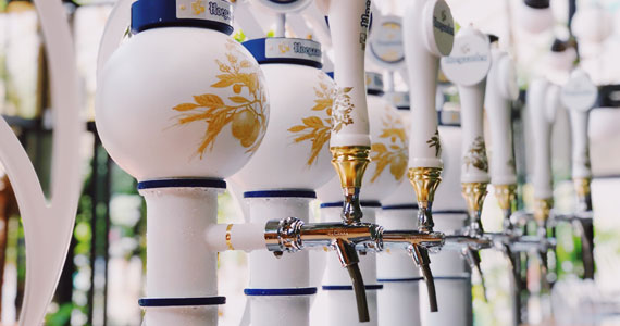 Hoegaarden Greenhouse